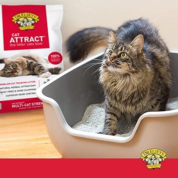 Dr. Elsey's® Cat Attract® Clumping Clay Cat Litter 18-lb. Bag