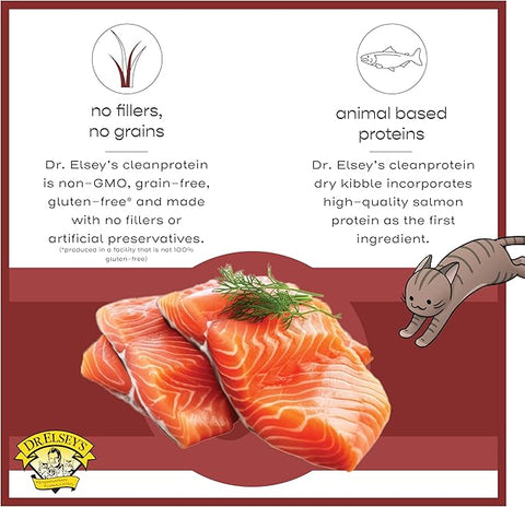 Dr. Elsey's cleanprotein Original Salmon Recipe Wet Cat Food 5.3 oz (Pack of 24)